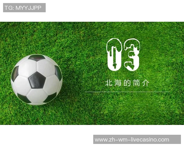 探索足球单词的魅力与奥秘,提升你的足球语言水平和交流能力 探索足球单词的魅力与奥秘,提升你的足球语言水平和交流能力