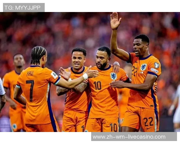 荷兰足球壁纸精选展示让你感受橙色狂潮的激情与魅力